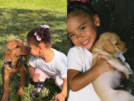 Bruna Biancardi resgata foto de Mavie com cachorro da família e compara evolução